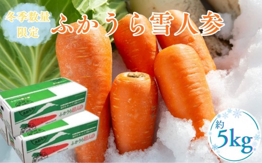 【冬季数量限定】ふかうら雪人参 約5kg　季節 旬 野菜 国産 季節 旬 おまかせ 産地直送  人参 にんじん ニンジン ジュース フルーティー 冷蔵 野菜室 甘い おいしい ブランド 野菜 青森県 深浦町産