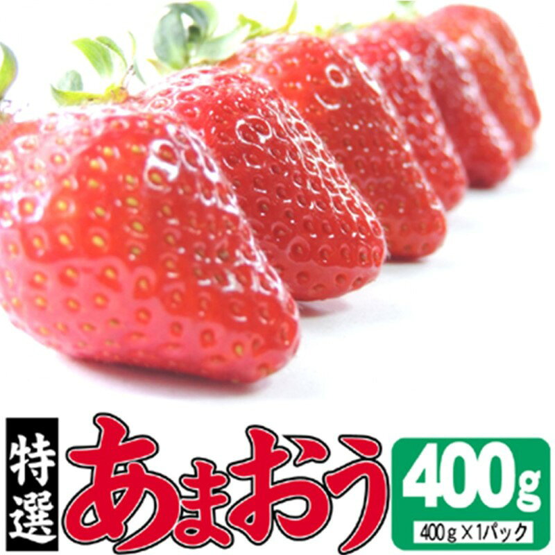 【ふるさと納税】いちご 2027年2月より発送 特選あまおう 400g ※配送不可：離島　お届け：2027年2月中旬～3月末