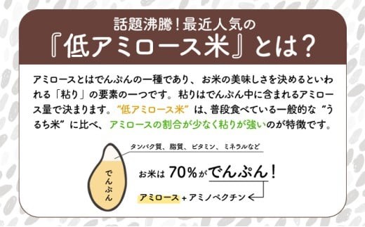 ＜数量限定＞【定期便・全2回】串間産「超早場米」 ミルキークイーン 計10kg（5kg×2回）_K028-T002