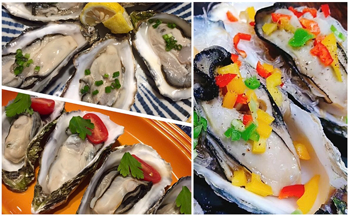 北海道 サロマ湖産 殻付き かき 生食用 2.5kg 牡蠣 カキ 海鮮 国産 貝付き 焼き牡蠣 蒸し牡蠣 冷蔵 オホーツク 魚貝類 生牡蠣 殻付きかき 北海道産 産地直送