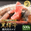 【ふるさと納税】くまもと黒毛和牛 黒樺牛 A4～A5等級 焼肉用カルビ 合計500g (250g×2パック) 牛肉 牛 霜降り 赤身 お肉 焼き肉 BBQ 黒毛和牛 国産 九州産 熊本県産 冷凍 送料無料