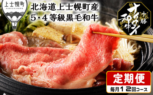 北海道　和牛肉　5・4等級　オレイン酸含有率55%以上　定期便　1年コース　サーロイン　ヒレ肉　焼肉　すき焼き　冷凍ハンバーグ｜十勝ナイタイ和牛定期便　1年満喫12ヵ月コース　［300-TN60］　※オンライン申請対応