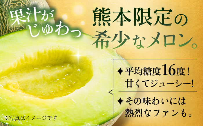 【先行予約】【数量限定】肥後グリーンメロン　約2kg(1玉入)【日本フルーツ株式会社】 [ZFJ005]