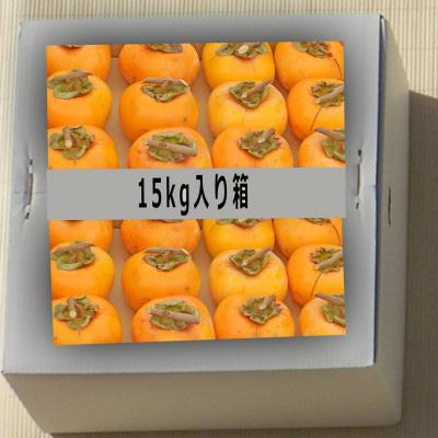 ふるさと納税 高野町 吊るし柿用 生渋柿 ひもセット【 T字軸枝付 or吊しクリップ付】 約50〜90果14.5〜15kg |  | 03