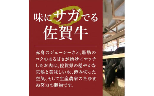 佐賀牛入り 特製 ハンバーグ 約120g×20個 180-J2243
