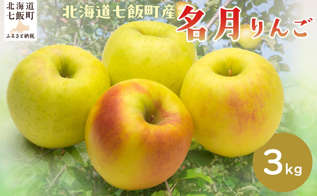 
            【2025年12月上旬以降発送】名月3kg 【ふるさと納税 人気 おすすめ ランキング りんご リンゴ 林檎 名月 3kg 七飯町産 北海道 七飯町 送料無料 】 NAJ006
          