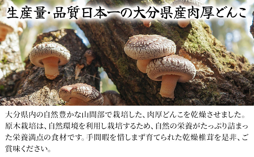 大分県産 どんこ 乾燥椎茸 50g×6 | 乾しいたけ 干し椎茸 干ししいたけ 乾燥しいたけ 干しシイタケ 大分県産 九州産 中津市