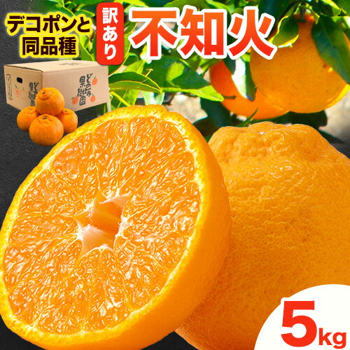 【ふるさと納税】訳あり 不知火 ( デコポン と同品種 ) しらぬい 約 5kg (M〜5Lサイズ) どの坂果樹園《2026年2月上旬-4月上旬頃出荷》 和歌山県 日高町 しらぬい でこぽん 旬 果物 フルーツ 柑橘 訳あり不知火 訳ありデコポン 訳ありしらぬい