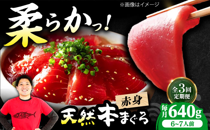 
            【全3回定期便】極上！たね熟天然本まぐろ赤身(640g) 天然 マグロ 鮪 赤身 刺身 魚 魚介 魚介類 海鮮丼 本マグロ 本まぐろ 本鮪 赤身 大トロ 冷凍 お刺身 お寿司 大阪府高槻市/本まぐろ直売所 [AOCE016]
          
