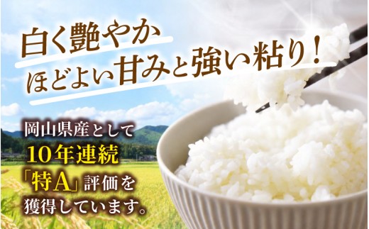 岡山県産 きぬむすめ 絹のような白さと美しいツヤが特徴のお米