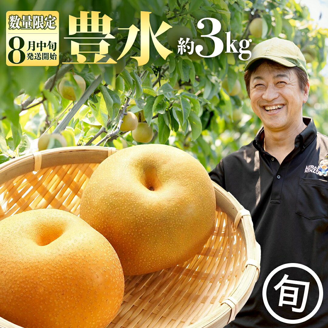 【ふるさと納税】【 数量限定 】 梨 豊水 約 3kg 農園から直送 ！【2026年8月中旬発送開始】ほうすい 梨 ナシ なし 果物 フルーツ デザート 秋 茨城県 数量限定