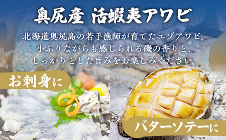 奥尻島産蝦夷アワビ（養殖）５ケ入り75mm以上 【 ふるさと納税 人気 おすすめ ランキング あわび アワビ 鮑 貝 魚介 蝦夷アワビ 新鮮 活あわび 活アワビ 北海道 奥尻町 送料無料 】 OKUF