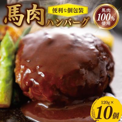 ふるさと納税 泉佐野市 【毎月定期便】馬肉ハンバーグ 120g×10個 全3回