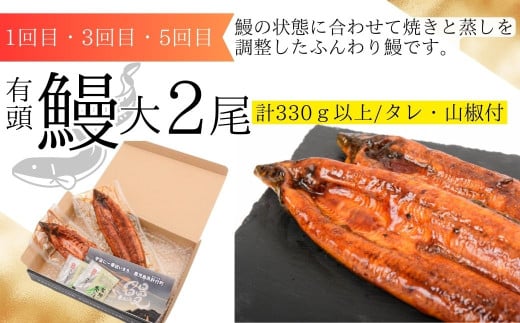 ＜定期便・全6回＞肝付町セレクト定期便《鰻と豚肉を楽しむ定期便》