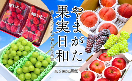 【定期便5回】やまがた果実日和定期便 今日も"おいしい日"。届くたびに心が弾む旬の果実【令和8年産先行予約】FS25-085