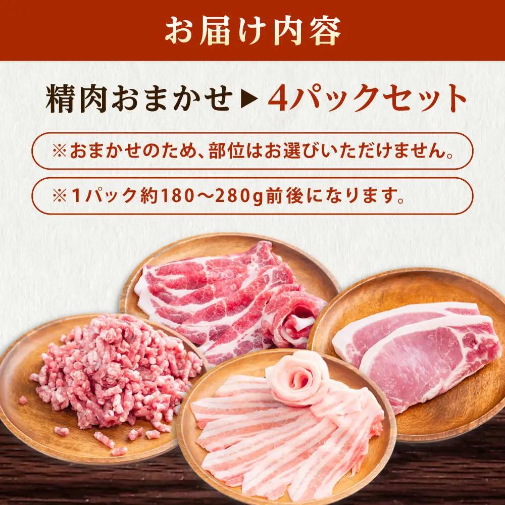 豚肉 うつみ潮風豚 精肉おまかせ4パックセット（1P/180g-280g）[BABT002] 豚肉