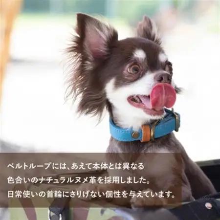 首輪 本革 イタリアンレザー オレンジ 中型犬用 (34-42センチ)ペット用品【dc-01ss】【1663249】