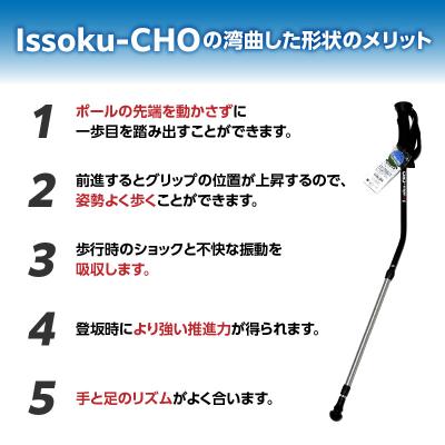 ふるさと納税 大分市 ウォーキングポール Issoku-CHO( 1足長) ブラックシルバー 1本_R17007 |  | 02