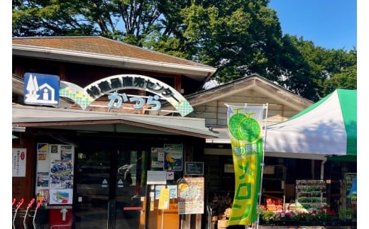 ジャム2種セット【ゆず・ブルーベリー】(AF116)