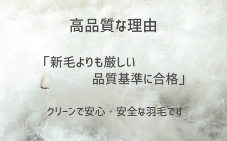 ザ・羽毛布団 リサイクルダウン ロイヤルグリーン ダブル 190×210cm リサイクルホワイトダックダウン70％ 羽毛 掛け布団 立体キルト　【251-000374-20】【14-6】