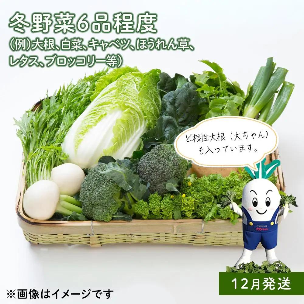 「ベジーズ館」の夏・冬野菜　年２回コース （7月と12月発送）｜【野菜定期便・野菜・定期便・冬野菜・夏野菜・野菜セット・旬の野菜・兵庫野菜・相生野菜・国産野菜・野菜詰め合わせ・冬野菜詰め合わせ・夏野菜
