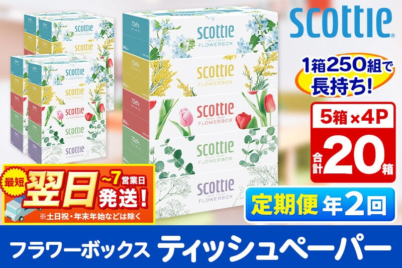 
                  《6ヶ月ごとに2回お届け》定期便 ティッシュペーパー スコッティ フラワーボックス250組 20箱(5箱×4パック) ティッシュ 秋田市オリジナル 最短翌日発送 [ティッシュ スコッティ(SCOTTIE) スコッティティシュー 定期便 新生活]
                