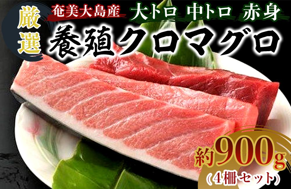 奄美大島産養殖クロマグロ（4柵セット）