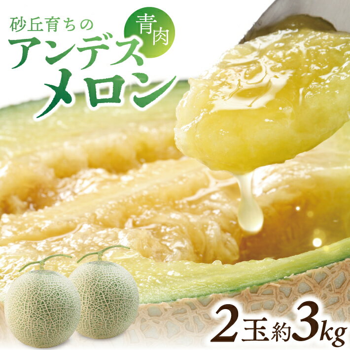 【ふるさと納税】アンデスメロン 2玉 約3kg つる付き 山形県酒田市産 6月下旬〜7月中旬頃お届け ※着日指定不可 JA直送 アンデス メロン 青肉メロン 青肉 ブランドメロン 農協 産地直送 夏 フルーツ くだもの 東北 山形県 庄内 酒田市 旬