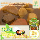 【ふるさと納税】【北海道野菜のスープカレー】2食セット 北海道産野菜使用 NAO016