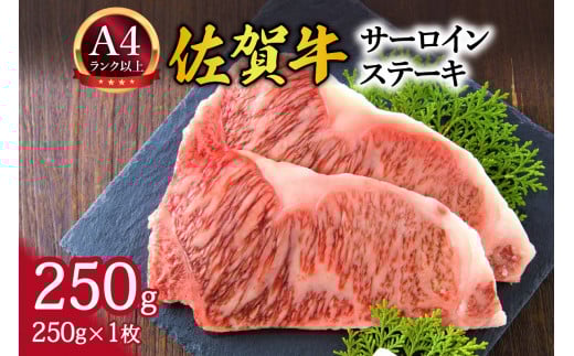 【 佐賀牛 】 艶さし！ サーロイン ステーキ 250g（250g×1枚） 159-J1028