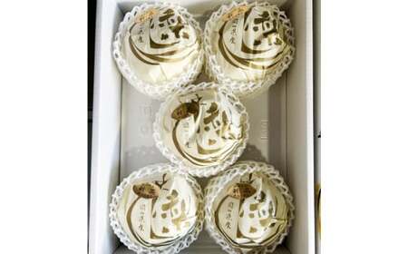 新高梨 3－6玉（合計約4kg） 化粧箱入り 【2026年9月下旬～11月上旬迄発送予定】 なし 梨 ナシ 国産 フルーツ 果物 ギフト 岡山県産