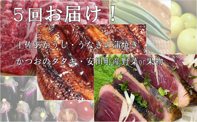 
MTK-01◆土佐あかうし・うなぎのかば焼き・かつおのタタキの欲張り定期便【５回お届け】
