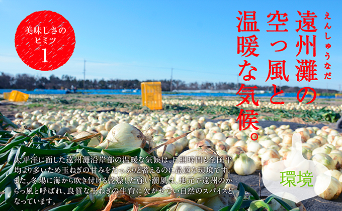 浜松篠原産新玉ねぎプレミアムフレッシュ5キロ【無選別品