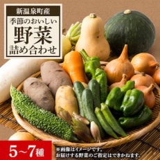 【新温泉町産】季節のおいしい野菜詰め合わせ