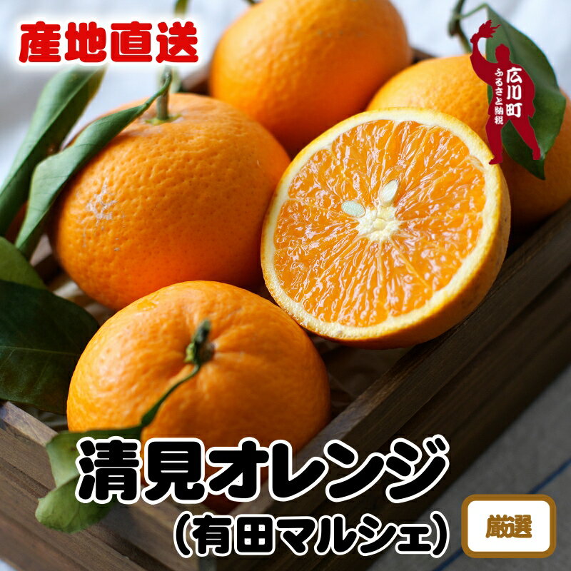【ふるさと納税】【先行予約】 産地直送 特選 完熟 清見 オレンジ ※2026年2月下旬～2026年3月下旬に順次発送 ※北海道・沖縄・その他離島地域は発送不可 / みかん くだもの きよみ 清見 果実 蜜柑 柑橘 果物 フルーツ 国産 和歌山県 有田 //dekopon