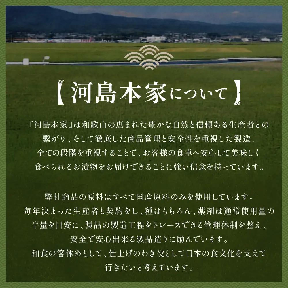 国内産 大根使用 紀の川漬 3本 セット 河島本家