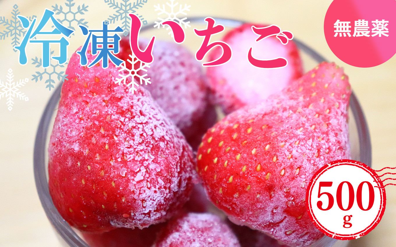 
冷凍いちご 約500g (100gx5パック) 奈良県産のいちご
