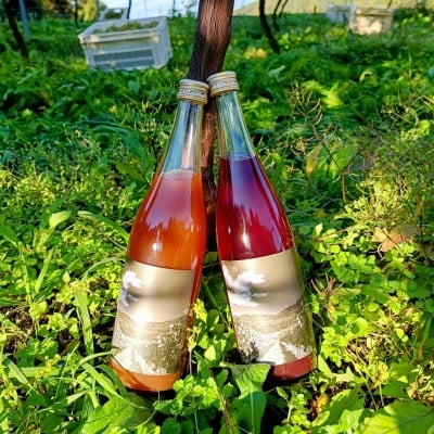 
            ワインぶどうのジュース 白赤セット【1665229】
          