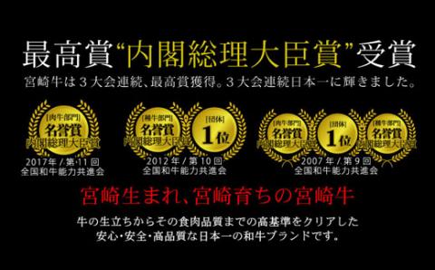 ＜宮崎牛絶品味付け焼肉500g＞3か月以内に順次出荷