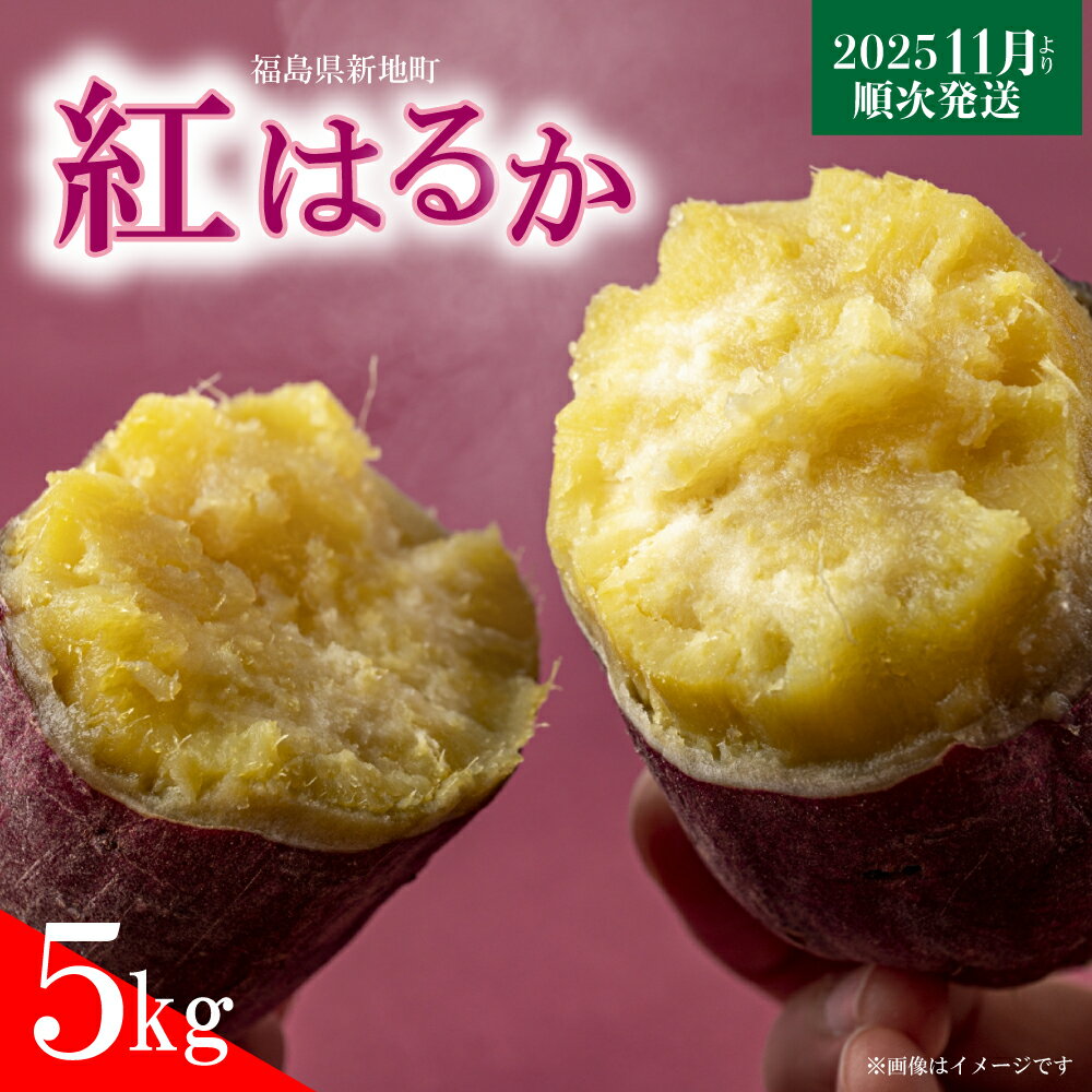 【ふるさと納税】新地町産 さつまいも 紅はるか 約5kg 1箱 新芋 | 野菜 やさい 食品 人気 おすすめ 送料無料 芋 いも さつま芋 お取り寄せ 生芋 福島県 新地町
