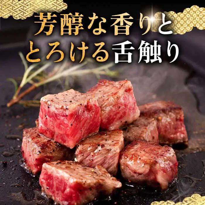 壱岐牛 サーロインステーキ 180g×4枚 [JFS002] サーロイン