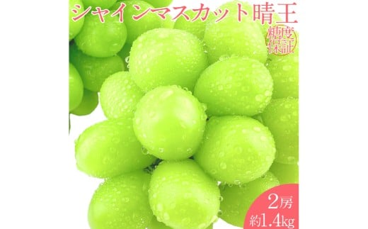 シャインマスカット 晴王 2房 約1.4kg  【2026年7月下旬～8月下旬 発送予定】【シャインマスカット マスカット ぶどう 葡萄 岡山県産   種無し 皮ごと食べる みずみずしい7月～8月にお届け フレッシュ 温室栽培 晴れの国おかやま 果物大国 彩美菜果 岡山県 倉敷市 おすすめ 人気 】