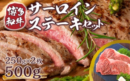 博多和牛 サーロイン ステーキ 250g 2枚 計500g [MEAT PLUS 福岡県 宇美町 um40azp010004]