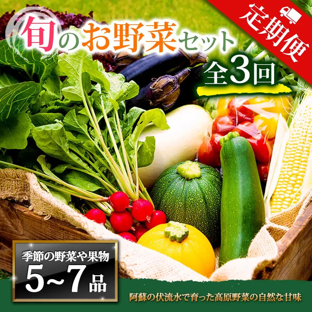 【定期便 全3回】畑から直送  季節のお野菜セット Mサイズ 