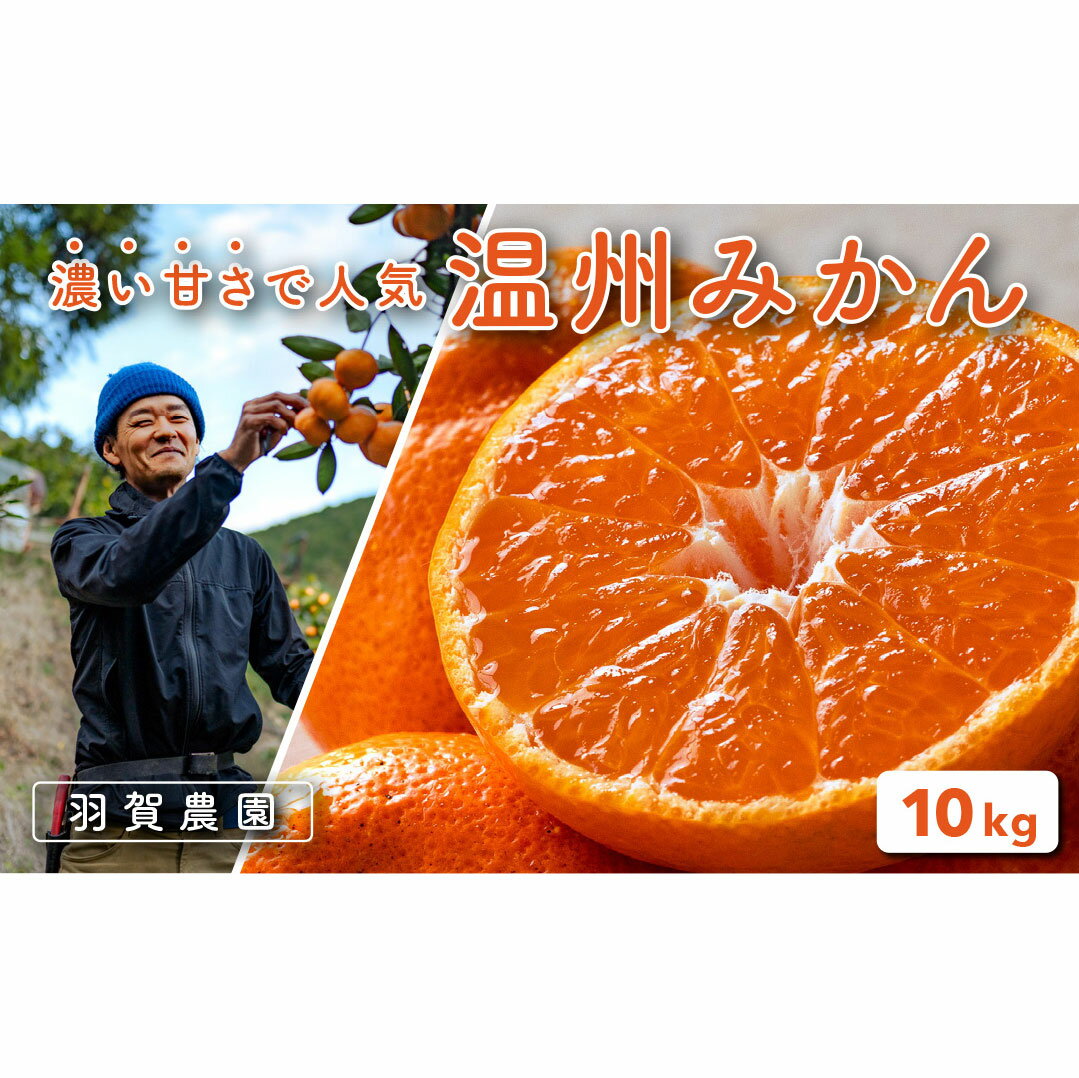 【ふるさと納税】 羽賀農園の温州みかん 10kg みかん 蜜柑 ミカン 柑橘 果物 フルーツ 果実 柑橘類 甘い 酸っぱい ジューシー ビタミンC 和歌山 愛媛 四国 特産品 産地直送 農家 旬 季節 冬 贈り物 ギフト 贈答 お歳暮 おやつ デザート 宿毛市 高知県 20000円