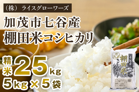 【令和8年産新米】七谷産 棚田米コシヒカリ 精米25kg（5kg×5）《順次出荷》 白米 （株）ライスグローワーズ