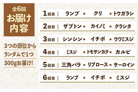 ＜6回定期便＞佐賀牛希少部位含む〜ひとり贅沢焼肉コース〜 ランプ/クリ/トウガラシ/ザブトン/カイノミなど【ミートフーズ華松】 ブランド 高級 和牛 霜降り BBQ やわらか 冷凍 料理  精肉 牛肉