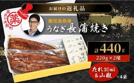数量限定【薬丸の太鼓判】鹿児島県産うなぎ長蒲焼特大2尾（220g以上2尾）｜希少 うなぎ 鰻 ウナギ 貴重 うなぎ 鰻 ウナギ 太鼓判 うなぎ 鰻 ウナギ グルメ うなぎ 鰻 ウナギ おすすめ うなぎ