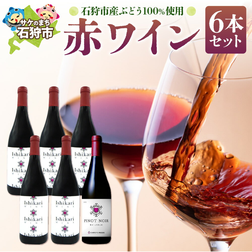 【ふるさと納税】《レビューキャンペーン》ギフト お酒 ワイン　石狩市産ぶどうで作った赤ワイン6本セット（各750ml）　6本 2種類 赤白 デザイン 国産ワイン 北海道 北海道産 お酒 ワイン ワインセット ロゼ 白 二種類 セット ご当地ワイン 人気[のし対応]