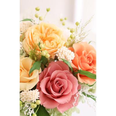 ふるさと納税 鳴門市 プリザーブドフラワー ジェラフルート |  | 01